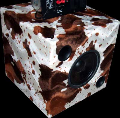 Subwoofer "Bull" im Mustang-Design
